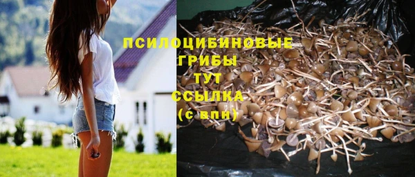 mix Белокуриха