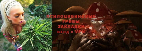 mix Белокуриха