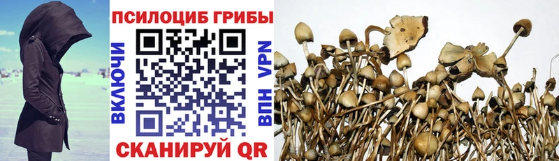 блэк спрут ТОР  купить наркотики сайты  Кирс  Псилоцибиновые грибы мухоморы 